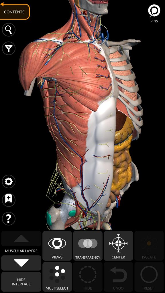 human anatomy atlas
