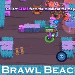 Brawl Beach