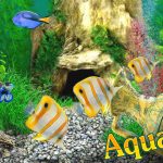 AquaLife 3D